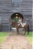Foto para 100w Outdoor Cape Cod MED Clear Seedy Sienna Bronze Large Wall Mount
