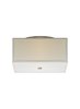 Foto para 150w Chambers Satin Nickel TD-Chamb Ceil sm white, sn