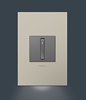 Foto para adorne 1-Gang Nightlight Accent